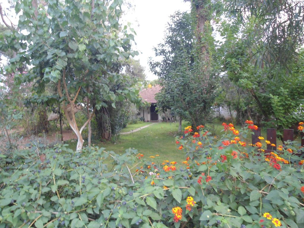 Bungalow Halil Çıralı Δωμάτιο φωτογραφία