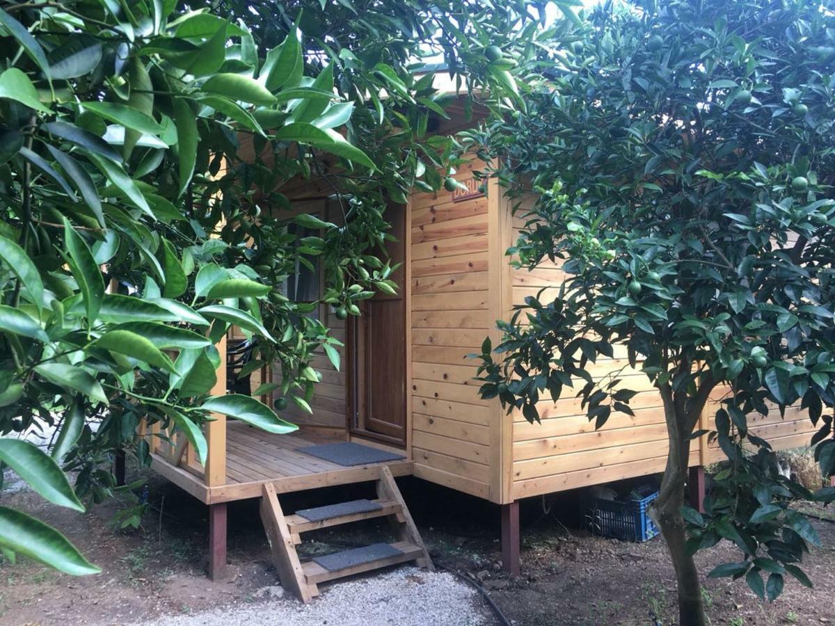 Bungalow Halil Çıralı Εξωτερικό φωτογραφία